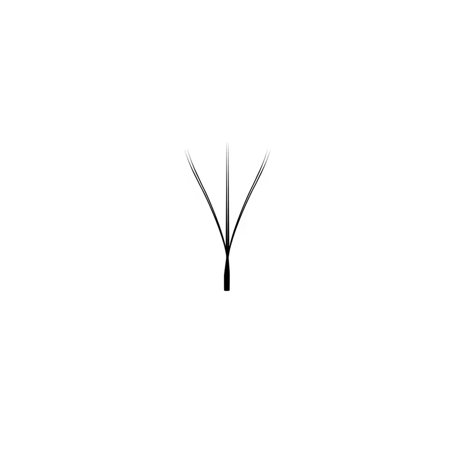 W Collection - Double 3D