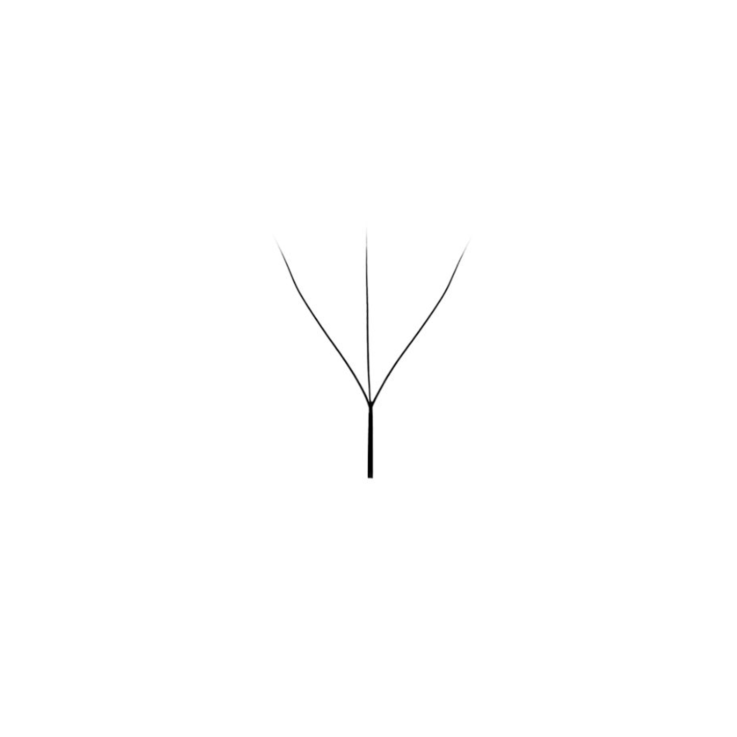 W Collection - 3D