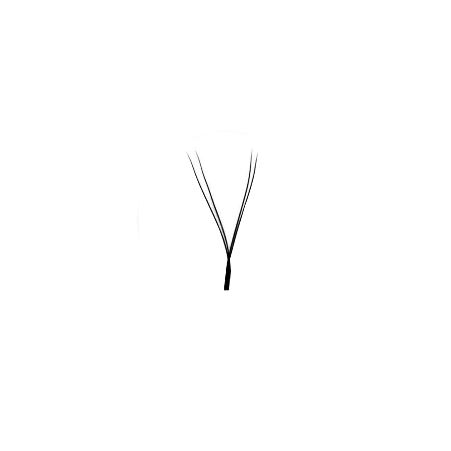 YY Collection - 2D