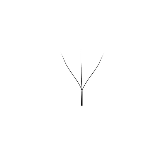 W Collection - 3D